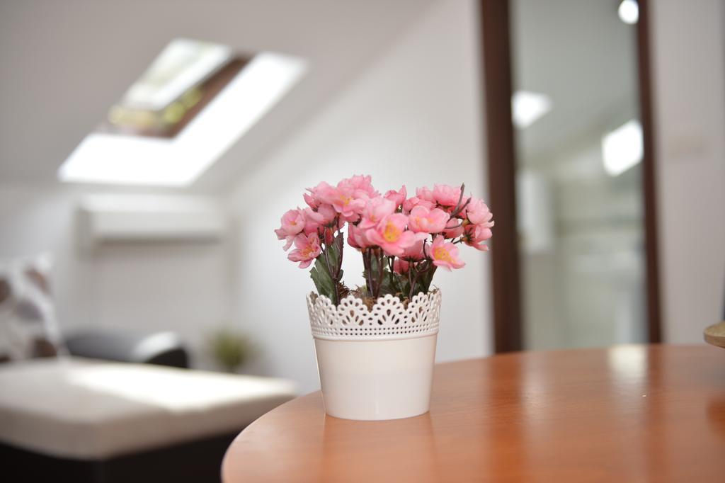 קוטור Apartment Atina מראה חיצוני תמונה